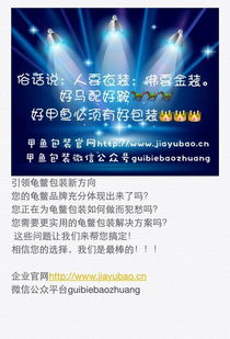 以销售与维护双轮驱动，铸就品牌价值新高地